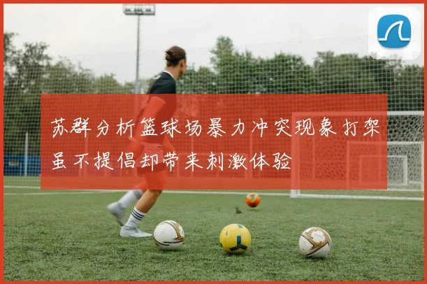 苏群分析篮球场暴力冲突现象打架虽不提倡却带来刺激体验