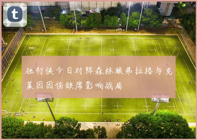 独行侠今日对阵森林狼弗拉格与克莱因因伤缺席影响战局