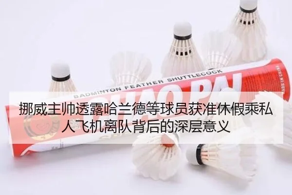 挪威主帅透露哈兰德等球员获准休假乘私人飞机离队背后的深层意义 | BOWWAYSPORTS